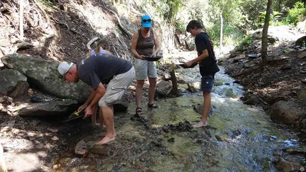 Gold Panning Barberton