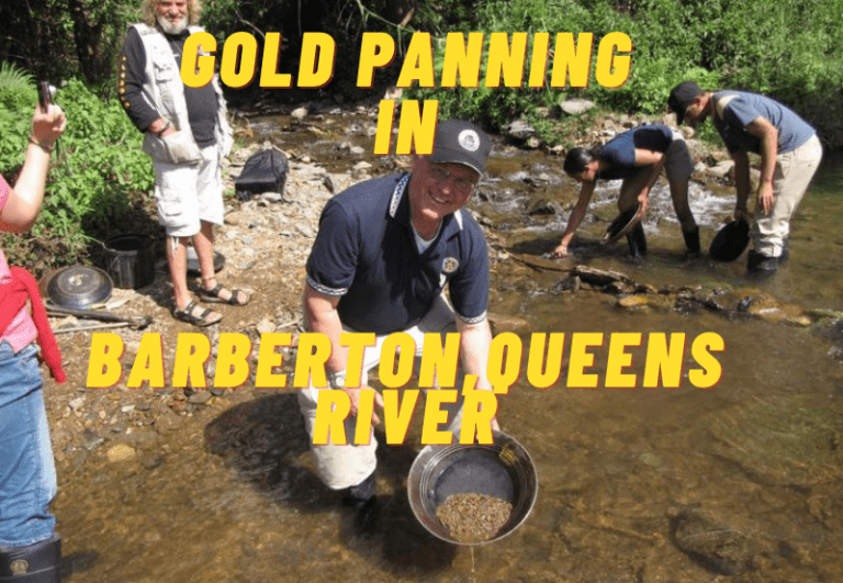 Gold Panning in Barberton, South Africa: Striking Gold A Comprehensive Guide