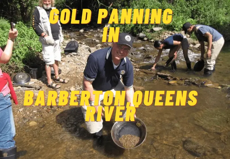 Gold Panning in Barberton, South Africa: Striking Gold A Comprehensive Guide