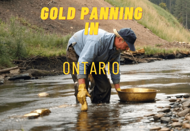 Best Spots Gold Panning in Ontario: Exploring Golden Opportunities in 2024