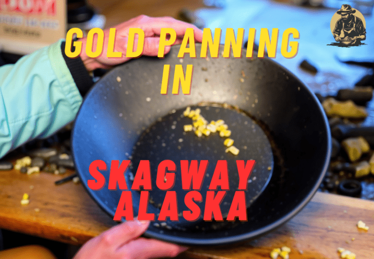 Gold Panning in Skagway: A Seeker’s Guide to Striking It Rich in Alaska’s Historic Town