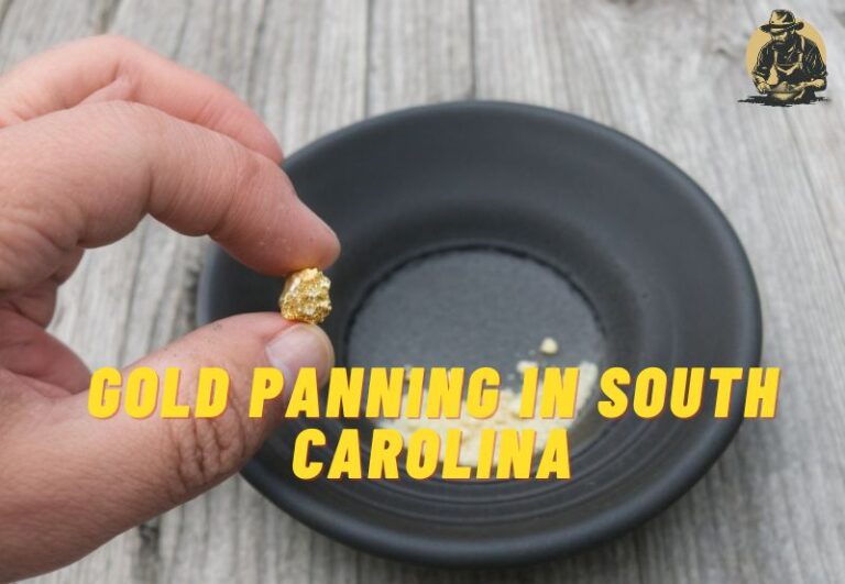 Gold Panning in South Carolina: Your Ultimate Guide to Striking it Rich