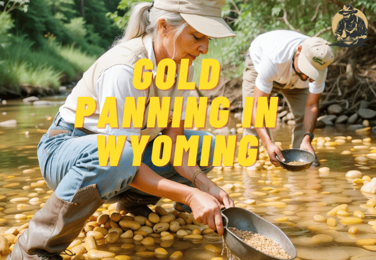 Gold Panning in Wyoming: A Prospector’s Guide to Striking Gold in the Cowboy State