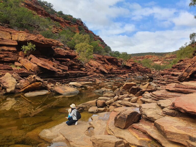 Gold Prospecting in Australia: A Comprehensive Guide for Enthusiasts and Beginners