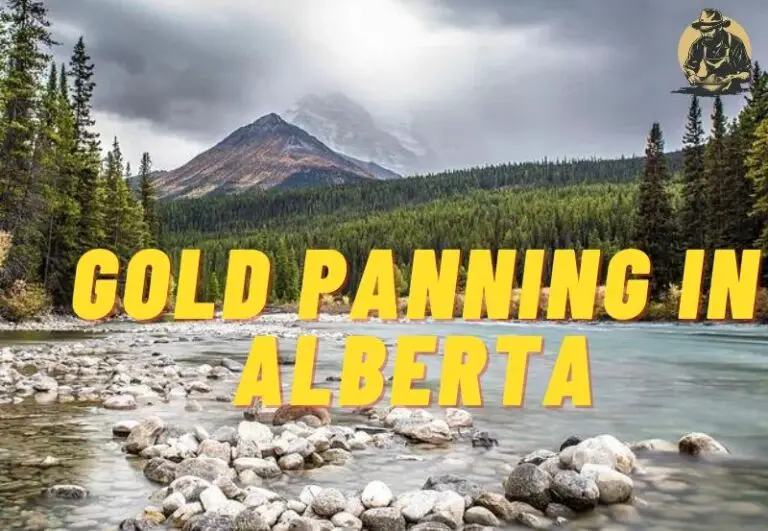 Gold Panning in Alberta: The Ultimate Guide to Discovering Riches in 2024